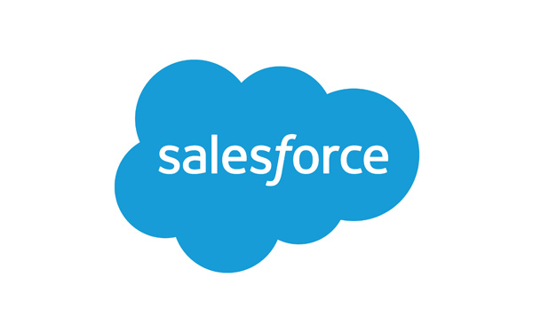 Salesforce Integration (Certified Consulting Partner)